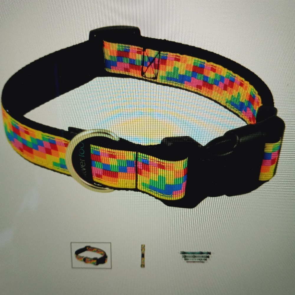 DOG COLLAR SZ XS SILVERFOOT